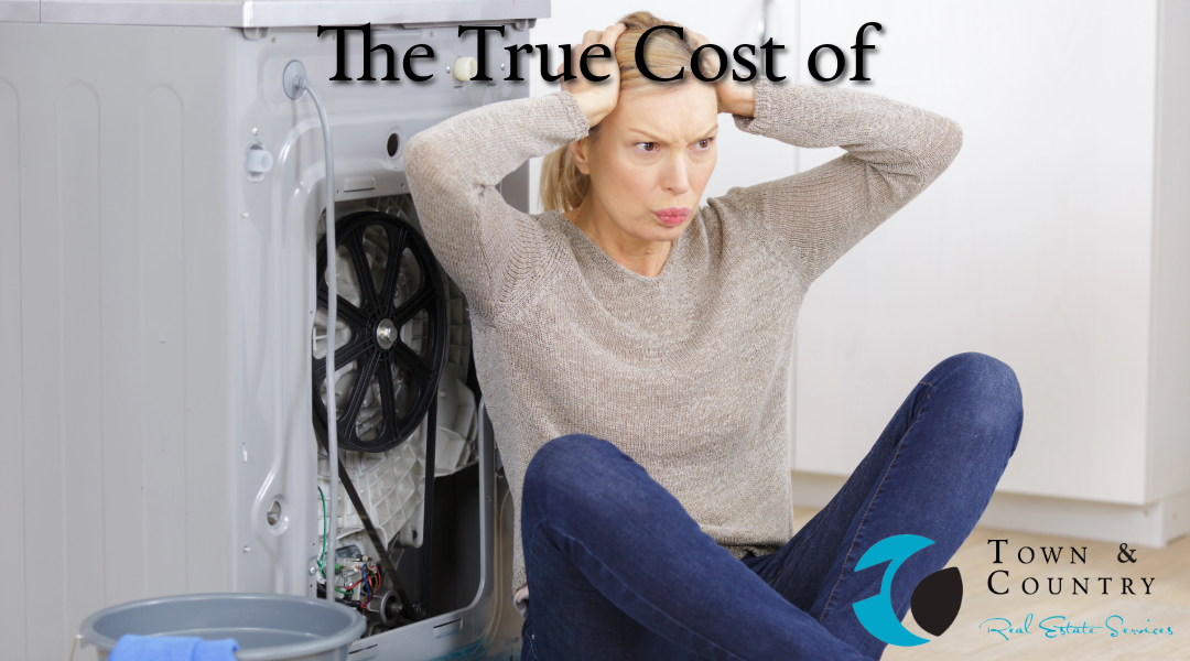 DIY Property Maintenance